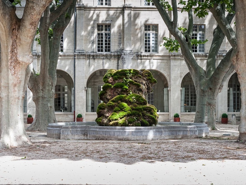 séjour affaire à avignon